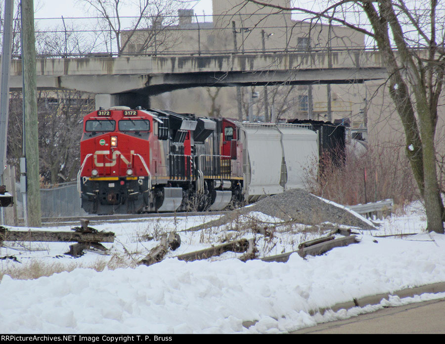 CN 3172 and CN 8101